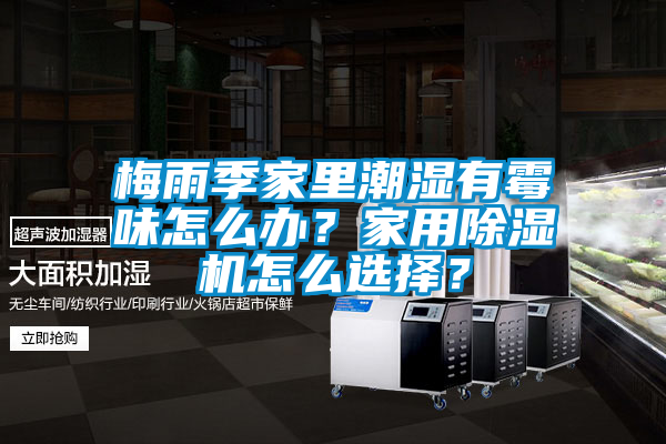 梅雨季家里潮濕有霉味怎么辦？家用除濕機怎么選擇？
