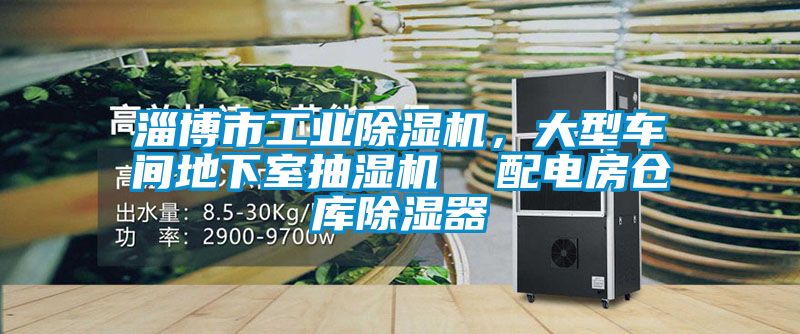淄博市工業(yè)除濕機(jī)，大型車(chē)間地下室抽濕機(jī)  配電房倉(cāng)庫(kù)除濕器
