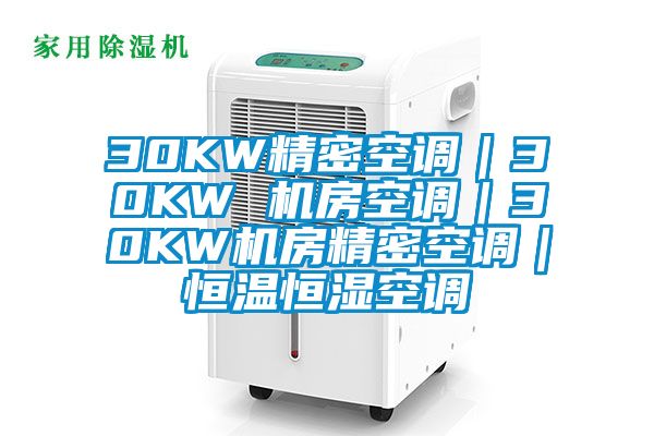 30KW精密空調(diào)|30KW 機(jī)房空調(diào)|30KW機(jī)房精密空調(diào)|恒溫恒濕空調(diào)