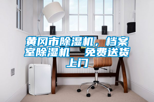 黃岡市除濕機(jī)，檔案室除濕機(jī)  免費(fèi)送貨上門