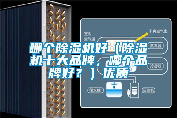 哪個除濕機好（除濕機十大品牌，哪個品牌好？）優質