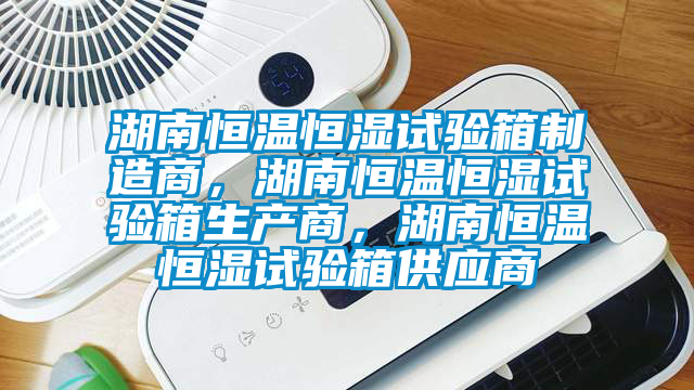 湖南恒溫恒濕試驗箱制造商，湖南恒溫恒濕試驗箱生產商，湖南恒溫恒濕試驗箱供應商