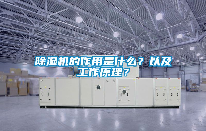 除濕機(jī)的作用是什么？以及工作原理？