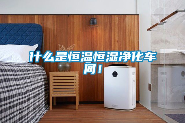 什么是恒溫恒濕凈化車間！