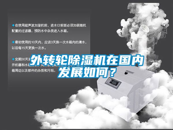 外轉輪除濕機在國內發展如何？