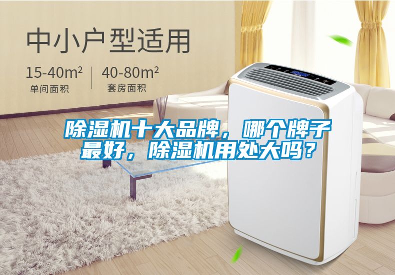 除濕機十大品牌，哪個牌子最好，除濕機用處大嗎？
