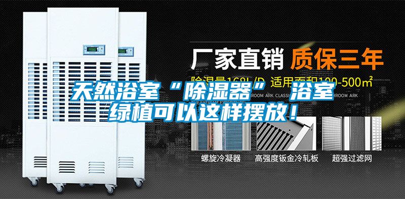 天然浴室“除濕器” 浴室綠植可以這樣擺放！