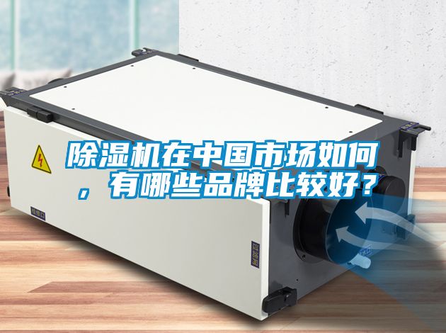除濕機在中國市場如何，有哪些品牌比較好？