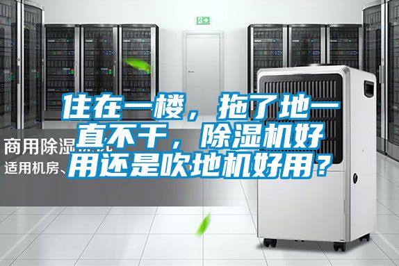 住在一樓，拖了地一直不干，除濕機好用還是吹地機好用？