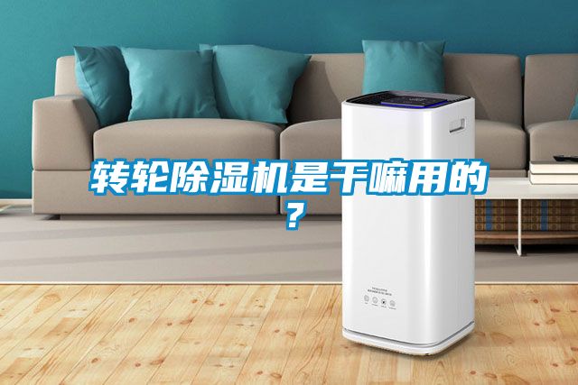 轉(zhuǎn)輪除濕機是干嘛用的?