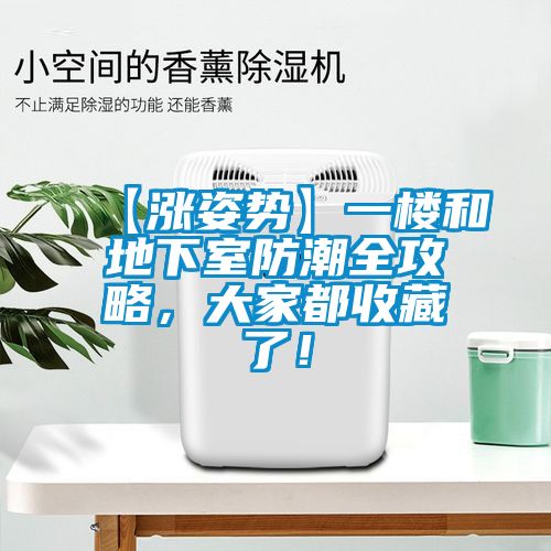 【漲姿勢】一樓和地下室防潮全攻略，大家都收藏了！