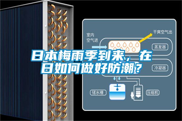 日本梅雨季到來(lái),在日如何做好防潮?