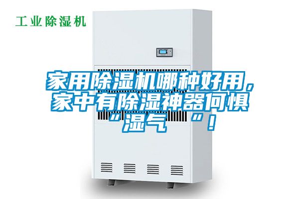 家用除濕機(jī)哪種好用,家中有除濕神器何懼 “濕氣 “!